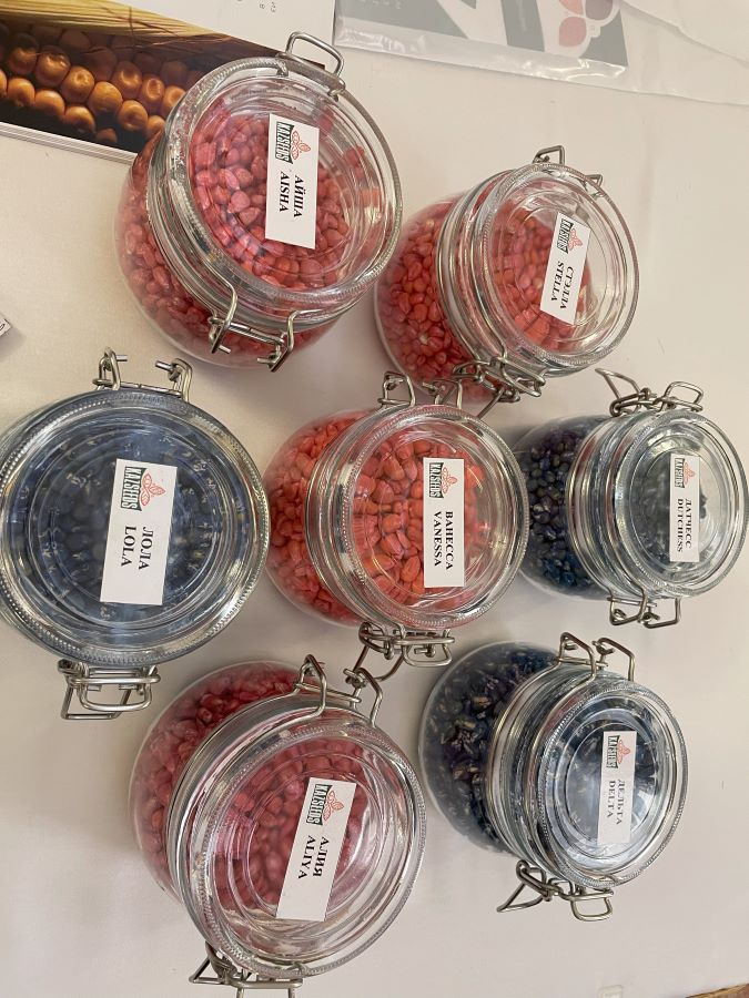 Образцы гибридов кукурузы KAZSEEDS на выставке «Тұқым»