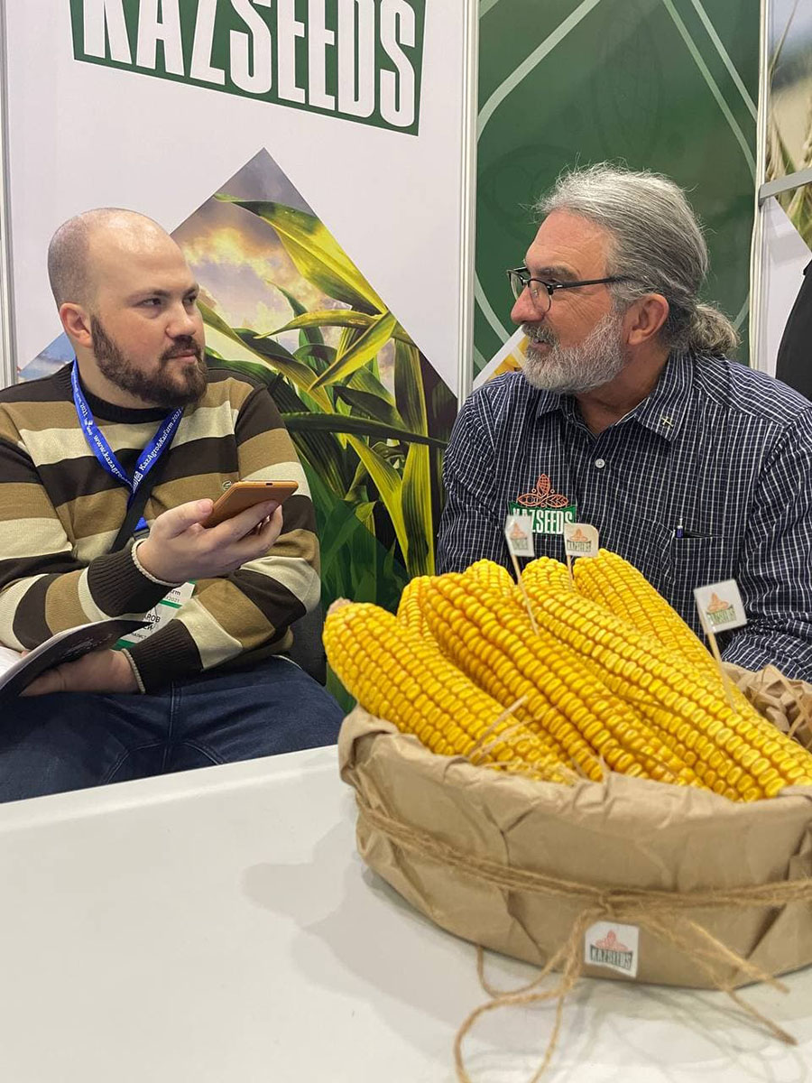 Эдвард Баумгартнер рассказывает о гибридах KAZSEEDS на выставке